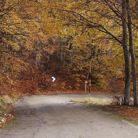 Lupus Domum * Pretoro