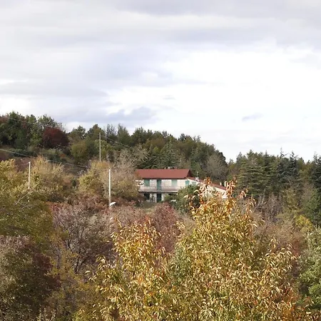 Lupus Domum * Pretoro