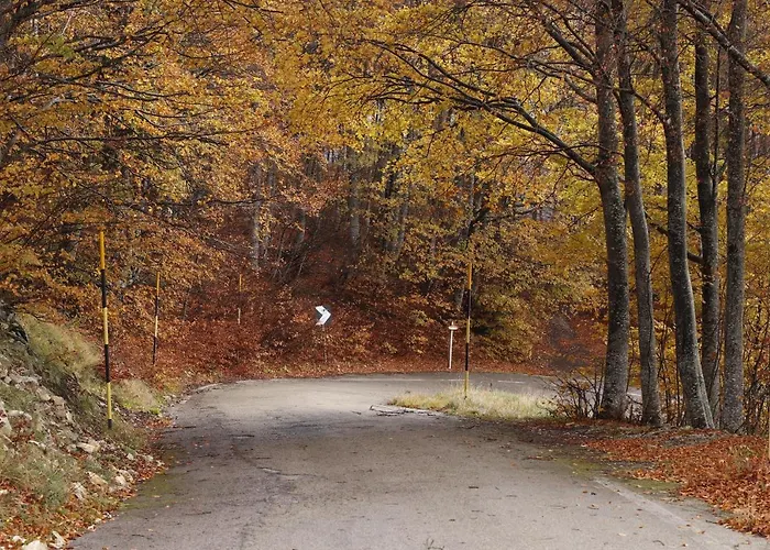 Lupus Domum * Pretoro