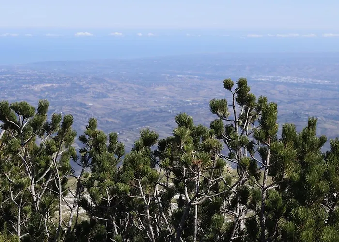 Lupus Domum * Pretoro